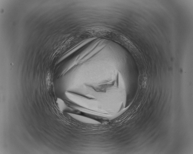 X0000083611108200703051536