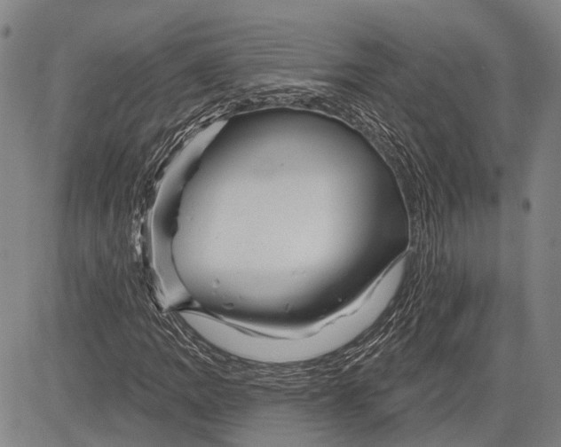 X0000083611109200703051536