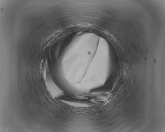 X0000083611110200703051536