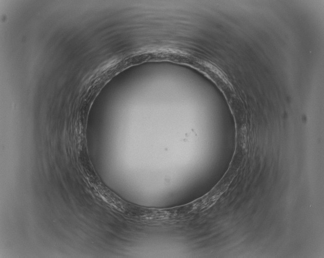 X0000083611111200703051536