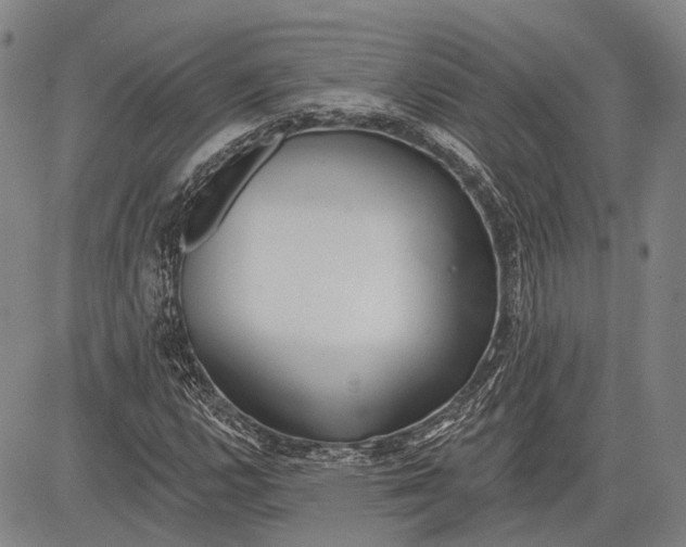 X0000083611112200703051536