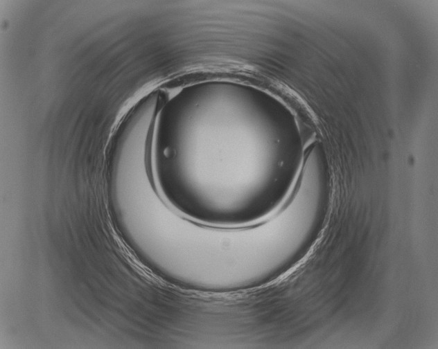 X0000083611114200703051536