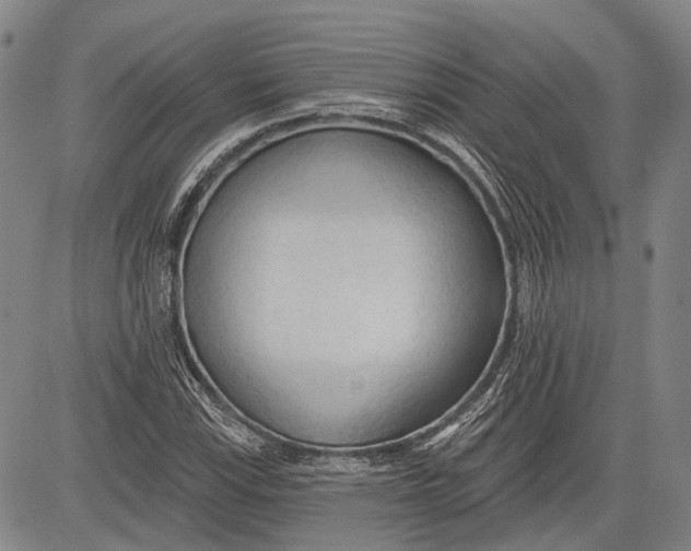 X0000083611115200703051536