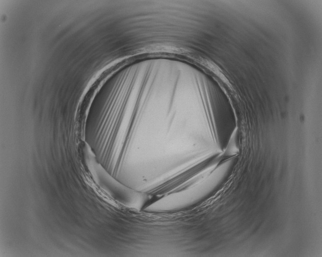 X0000083611116200703051536