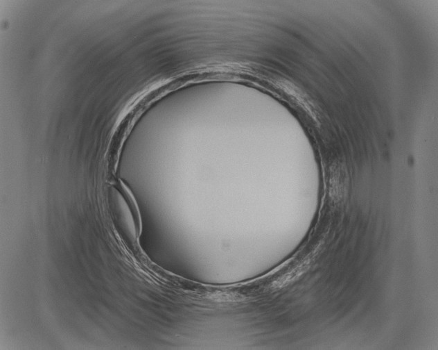 X0000083611117200703051536