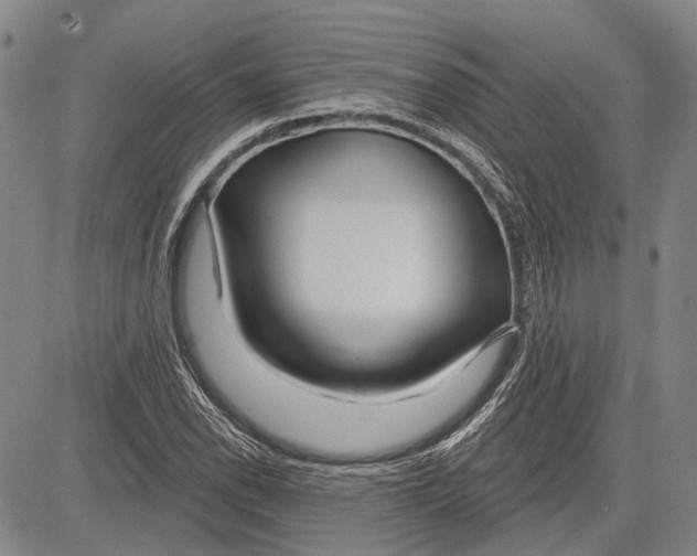 X0000083611118200703051536