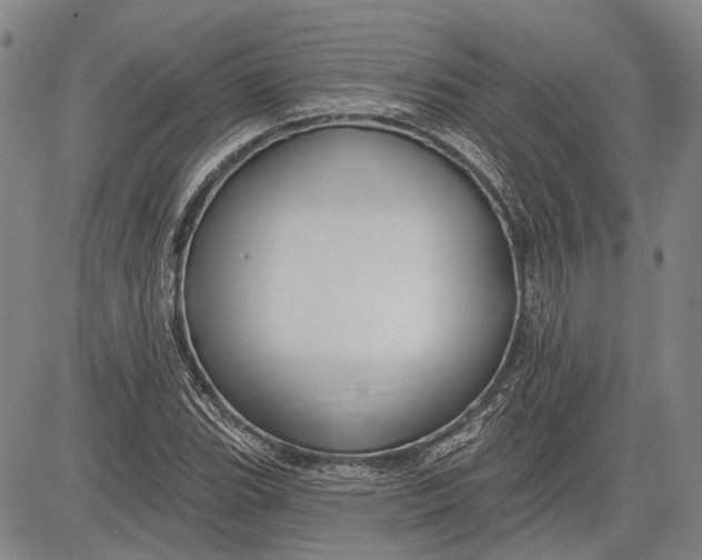 X0000083611119200703051536