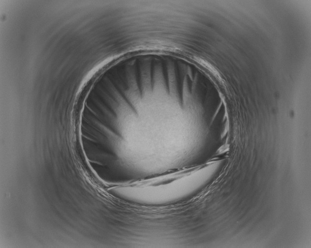 X0000083611120200703051536