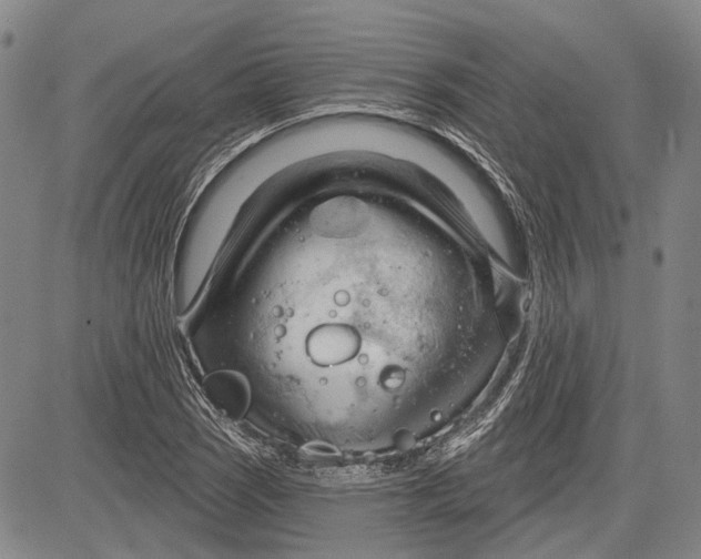 X0000083611121200703051536