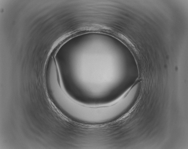 X0000083611122200703051536