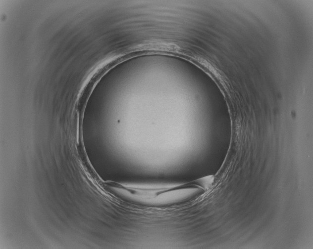 X0000083611123200703051536