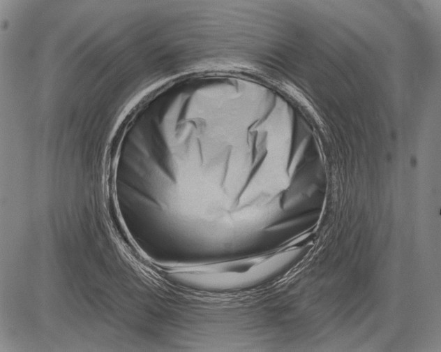 X0000083611124200703051536