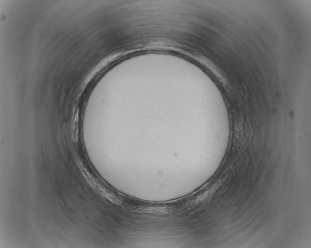 X0000083611126200703051536