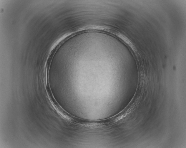 X0000083611127200703051536