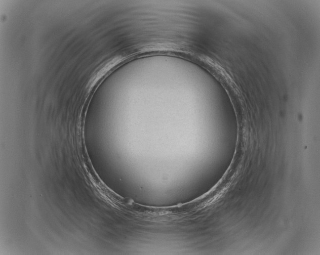 X0000083611129200703051536