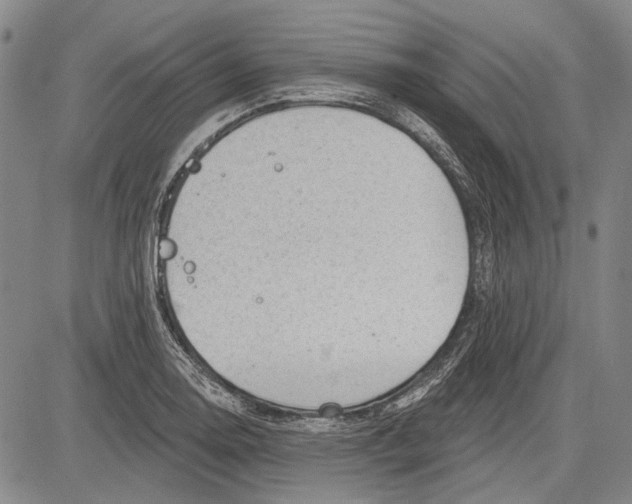 X0000083611130200703051536