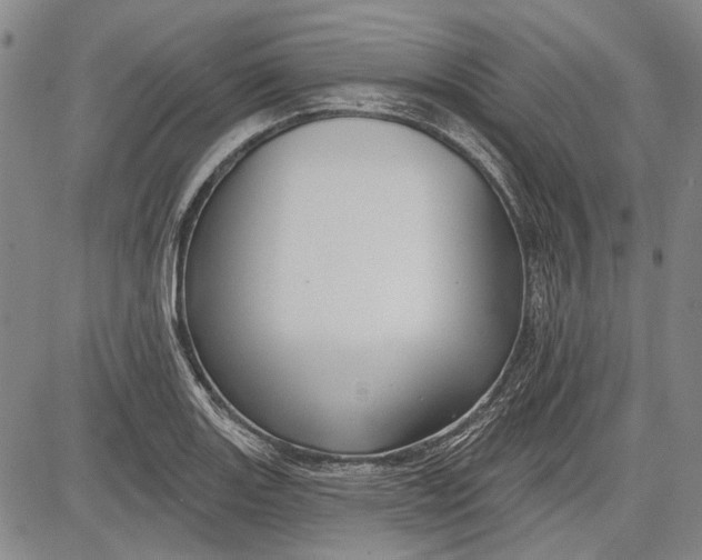 X0000083611131200703051536