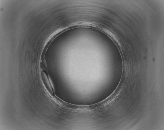 X0000083611133200703051536