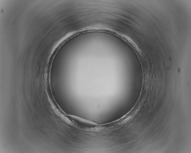 X0000083611134200703051536