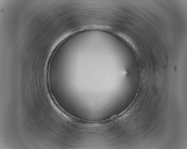 X0000083611135200703051536