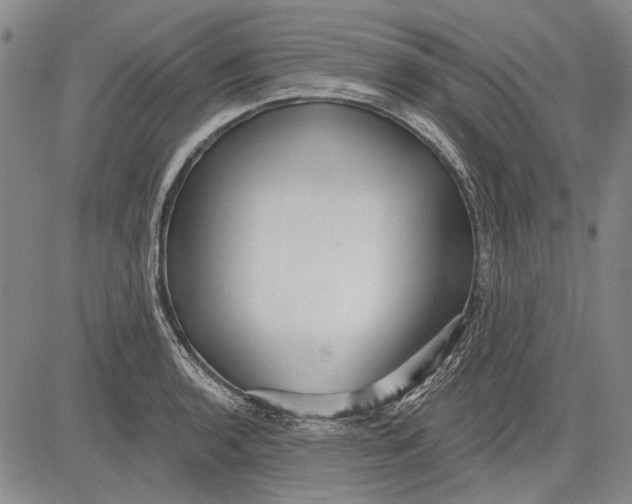 X0000083611136200703051536