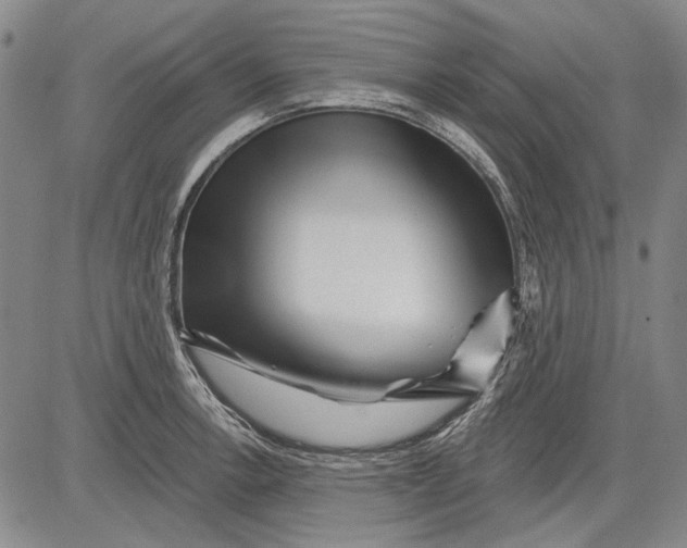 X0000083611138200703051537