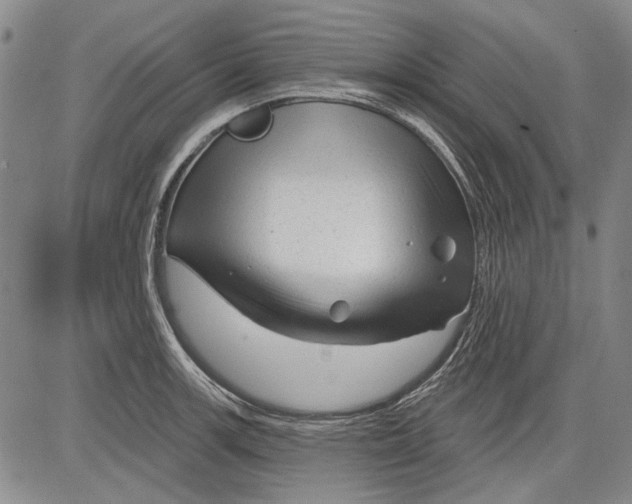 X0000083611139200703051537