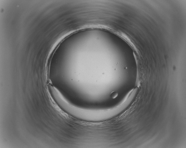 X0000083611140200703051537