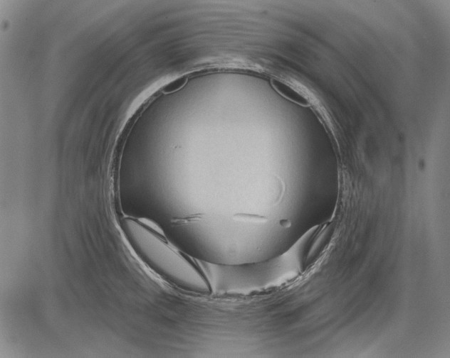 X0000083611141200703051537