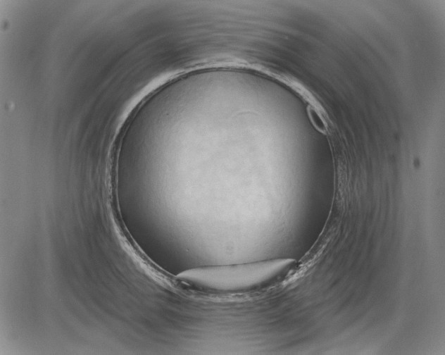 X0000083611142200703051537