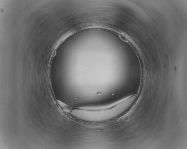 X0000083611145200703051537