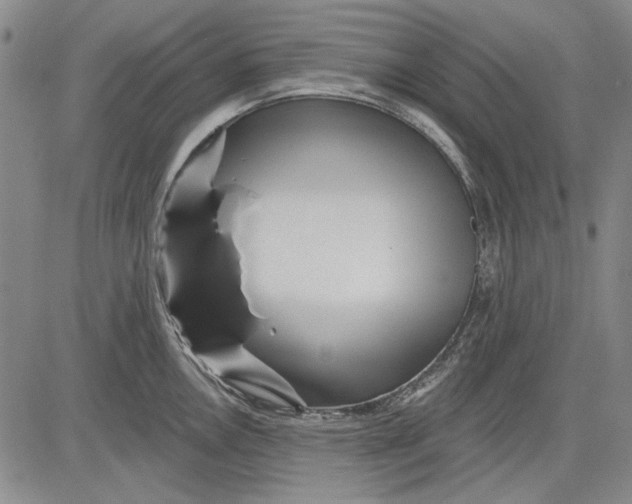 X0000083611146200703051537