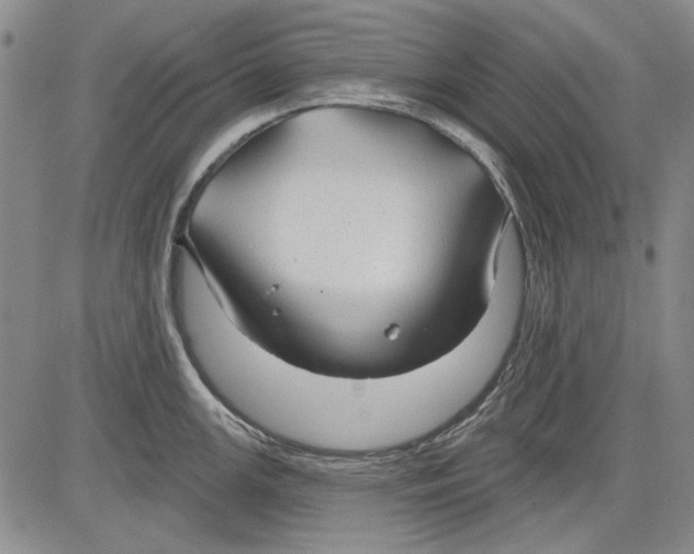 X0000083611147200703051537