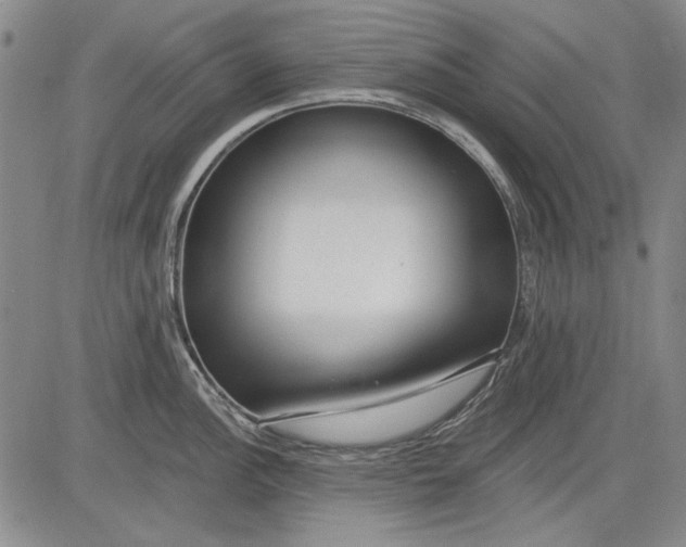 X0000083611148200703051537