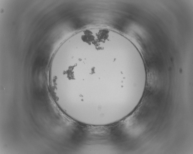 X0000083611150200703051537