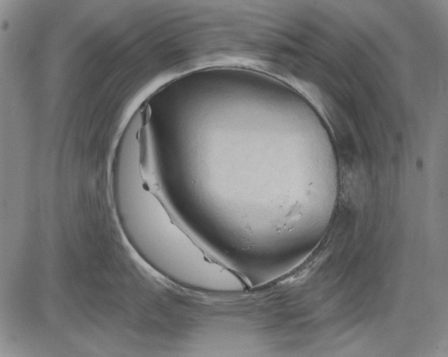 X0000083611151200703051537