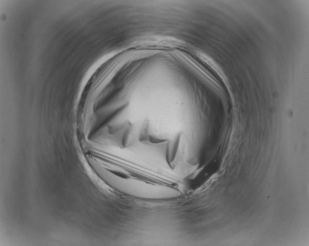 X0000083611152200703051537