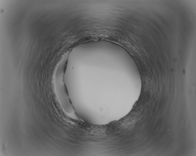 X0000083611153200703051536