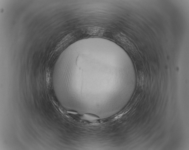 X0000083611154200703051536