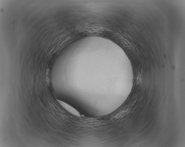 X0000083611156200703051536