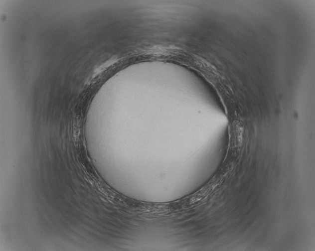 X0000083611158200703051536