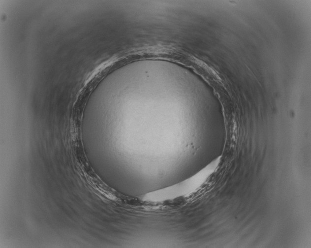 X0000083611160200703051536