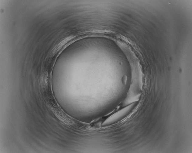 X0000083611161200703051536