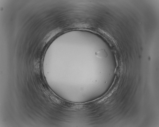 X0000083611162200703051536