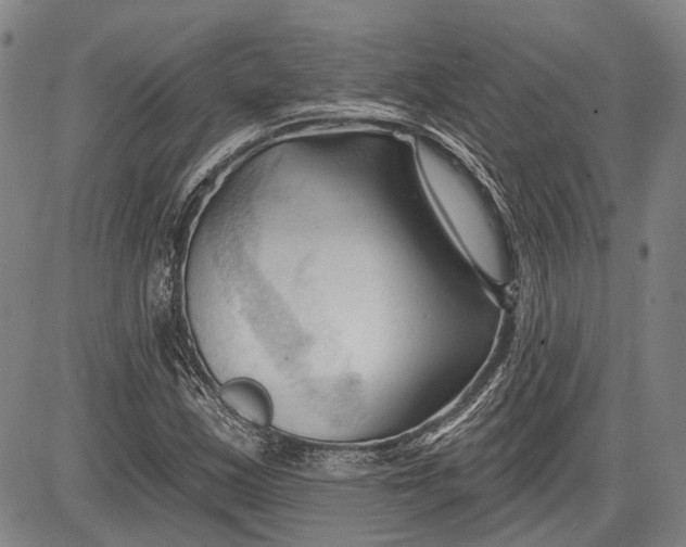 X0000083611163200703051536