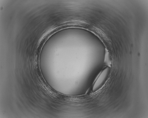 X0000083611164200703051536