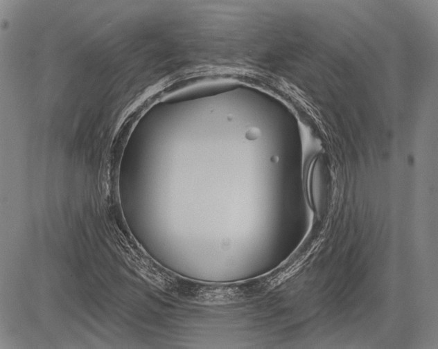 X0000083611165200703051536