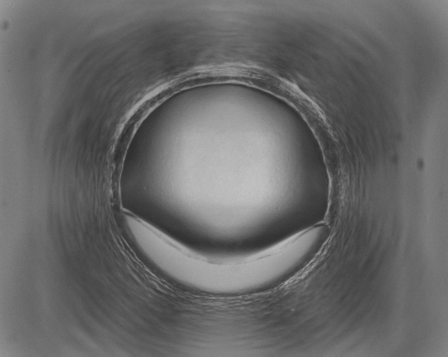 X0000083611166200703051536