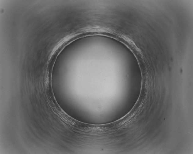 X0000083611167200703051536