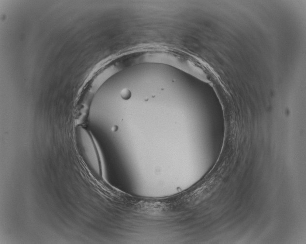 X0000083611168200703051536